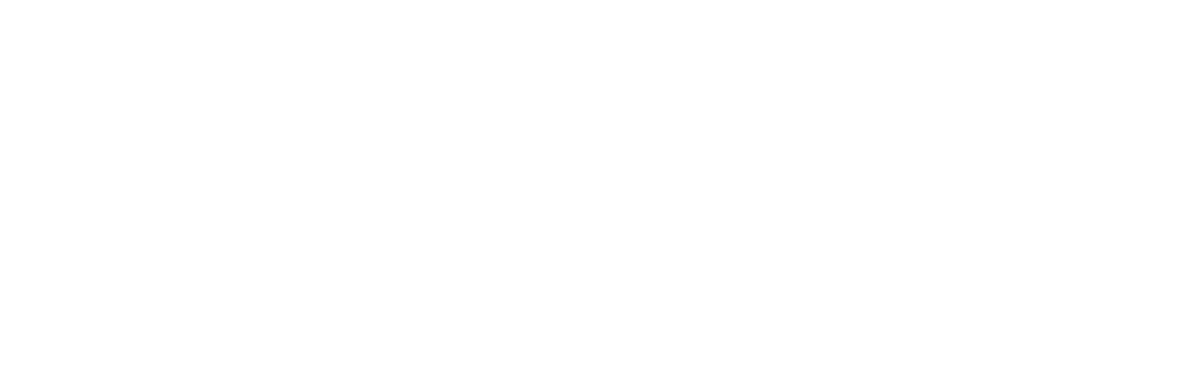Cornell University College of Engineering Logo